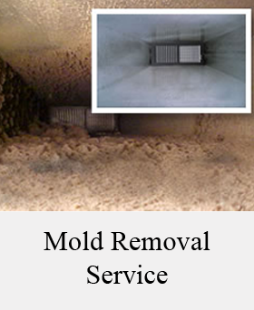 mold removal